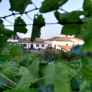 casa-vacanze-etna-piedimonte-etneo.sicilyhotelsitaly.net/